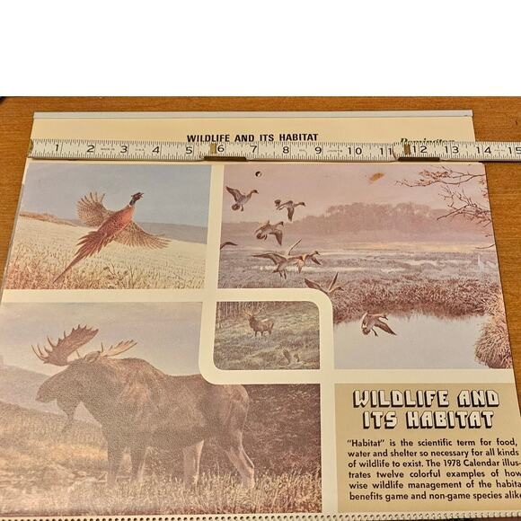 1978 Vintage Remington Dupont Calendar Hunting and Wildlife Memorabilia - Picture 7 of 7